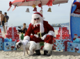 The 8th Annual Reindeer Romp at Rosie’s Dog Beach